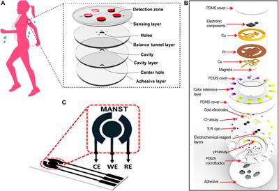 Flexible Biosensors Based on Colorimetry, Fluorescence, and Electrochemistry for Point-of-Care Testing